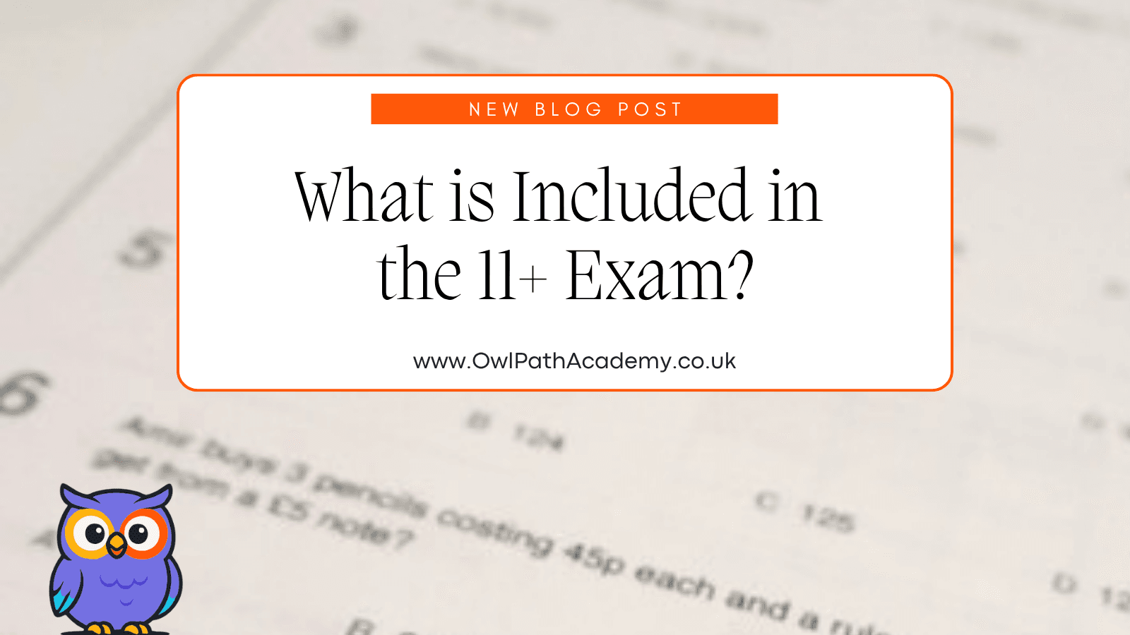What Is Included in the 11+ Exam? Maths, Verbal & Non-Verbal Reasoning Explained
